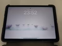 CS780/2024 IPAD